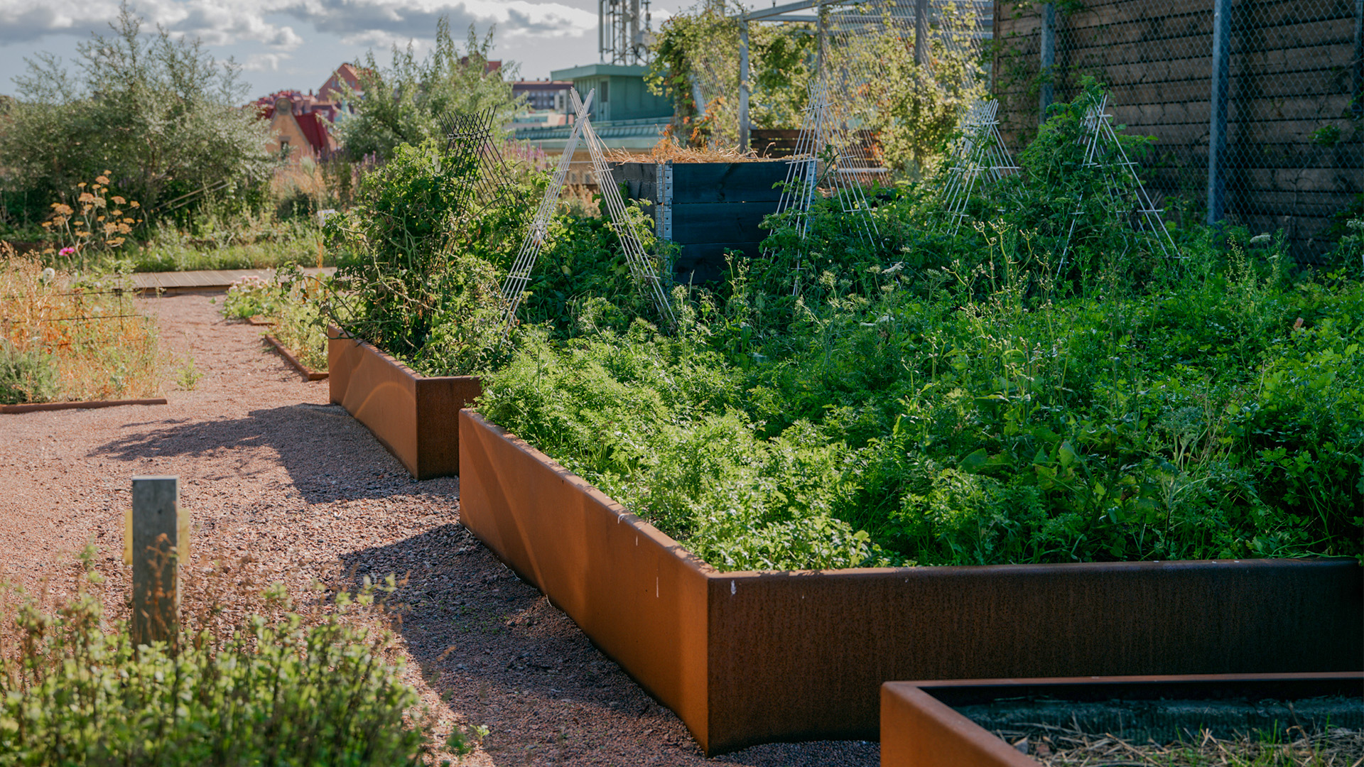 Odlingslådor med växter på takterrass